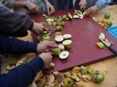 Viele Hände schneiden gemeinsam Äpfel für das Erntedankfest
